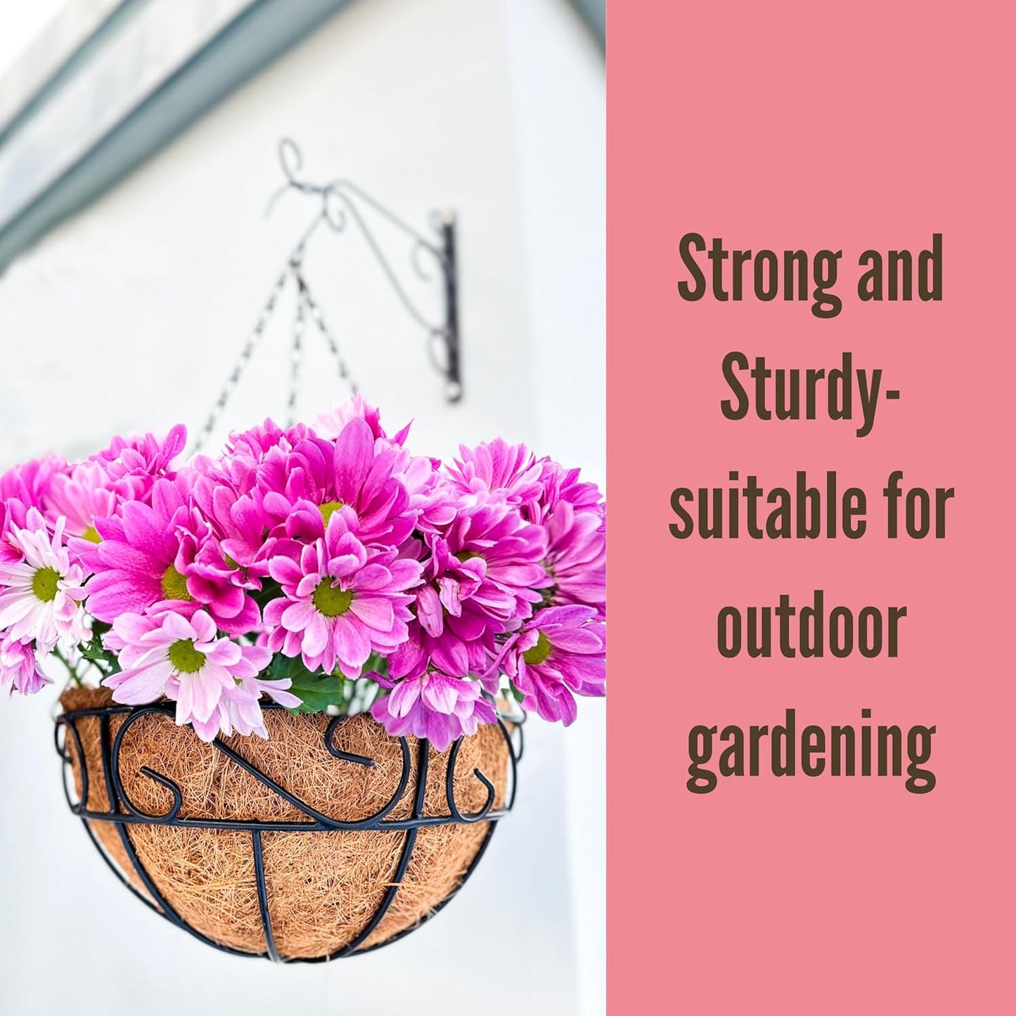 LaLaGreen Hanging Planter for Outdoor Plants (12 Inch, 2 Pack) Hanging Baskets with Coco Liner, Black Metal Wire Flower Basket Pots with Hook Hanger Balcony Porch Farmhouse Country Style Garden Decor