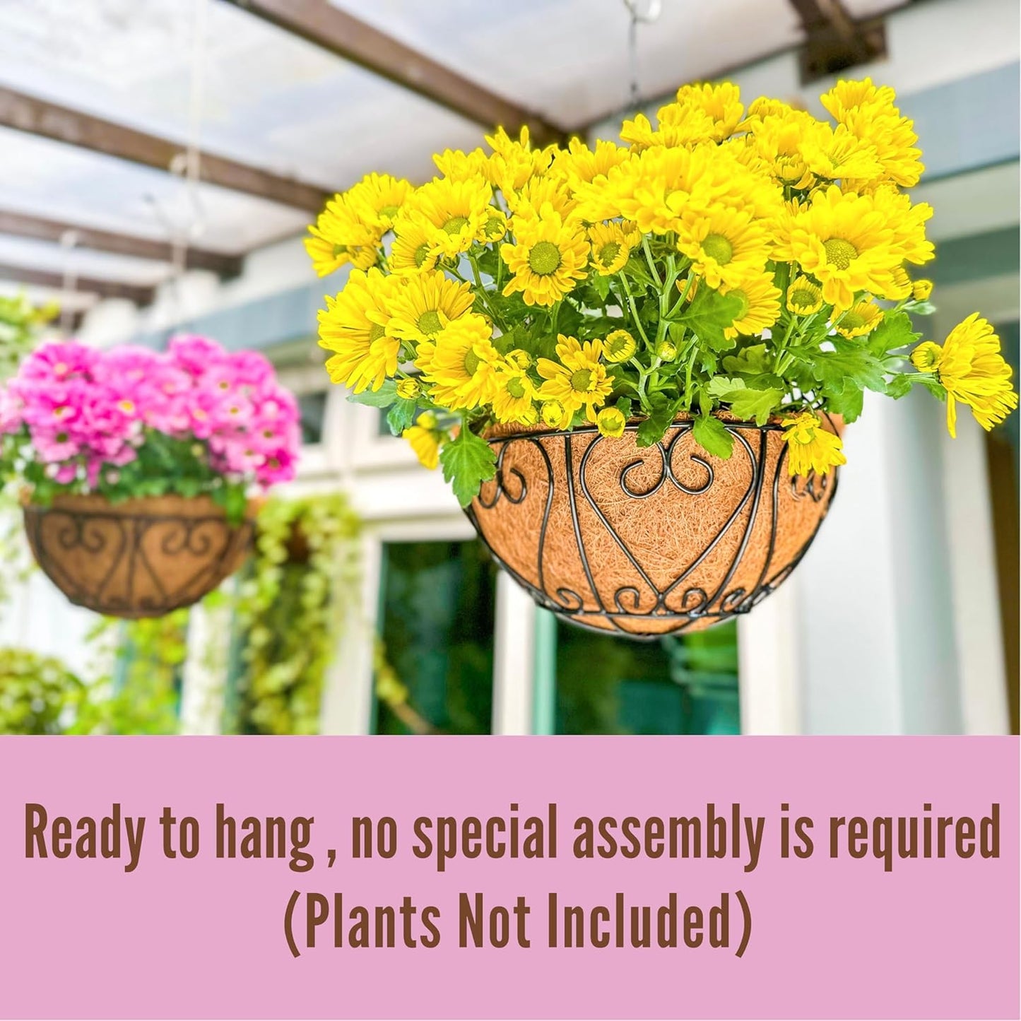 LaLaGreen Hanging Baskets for Plants (6 Pack, 14 Inch) Hanging Flower Pots with Coco Liner, Black Metal Wire Round Basket Plant Holder with Hanger Hook Chain, Outdoor Patio Deck Balcony Garden Décor