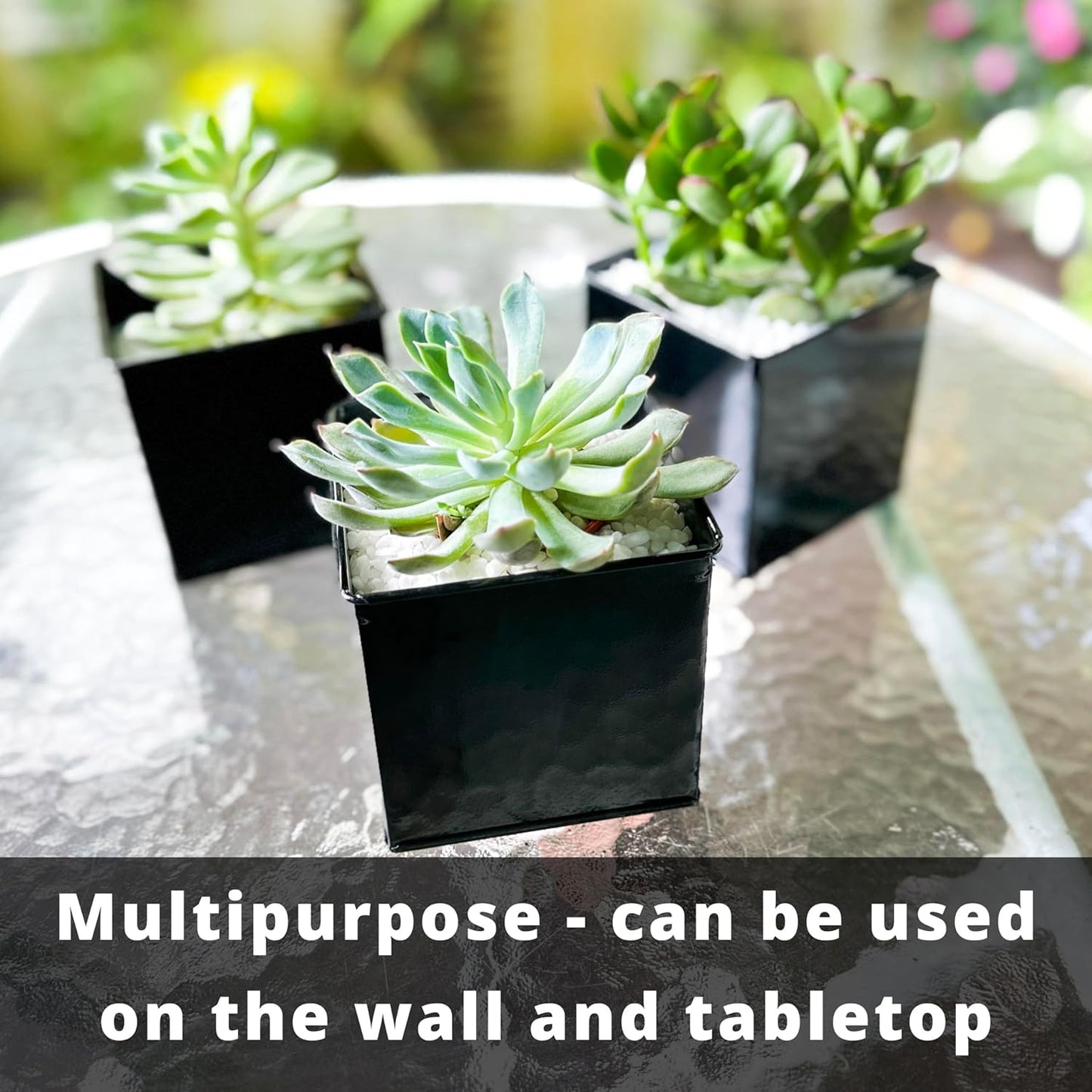 LaLaGreen Wall Planter - 6 Pack, 4 Inch Square Metal Wall Planter for Indoor Plants, Small Black Wall Mounted Flower Pots Outdoor Garden Decoration, Balcony Planters Railings Hanging Outdoor