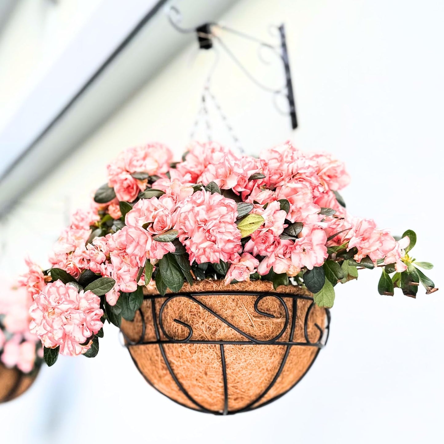 LaLaGreen Hanging Planter for Outdoor Plants (16 Inch, 4 Pack) Hanging Baskets with Coco Liner, Black Metal Wire Flower Basket Pots with Hook Hanger Balcony Porch Farmhouse Country Style Garden Decor