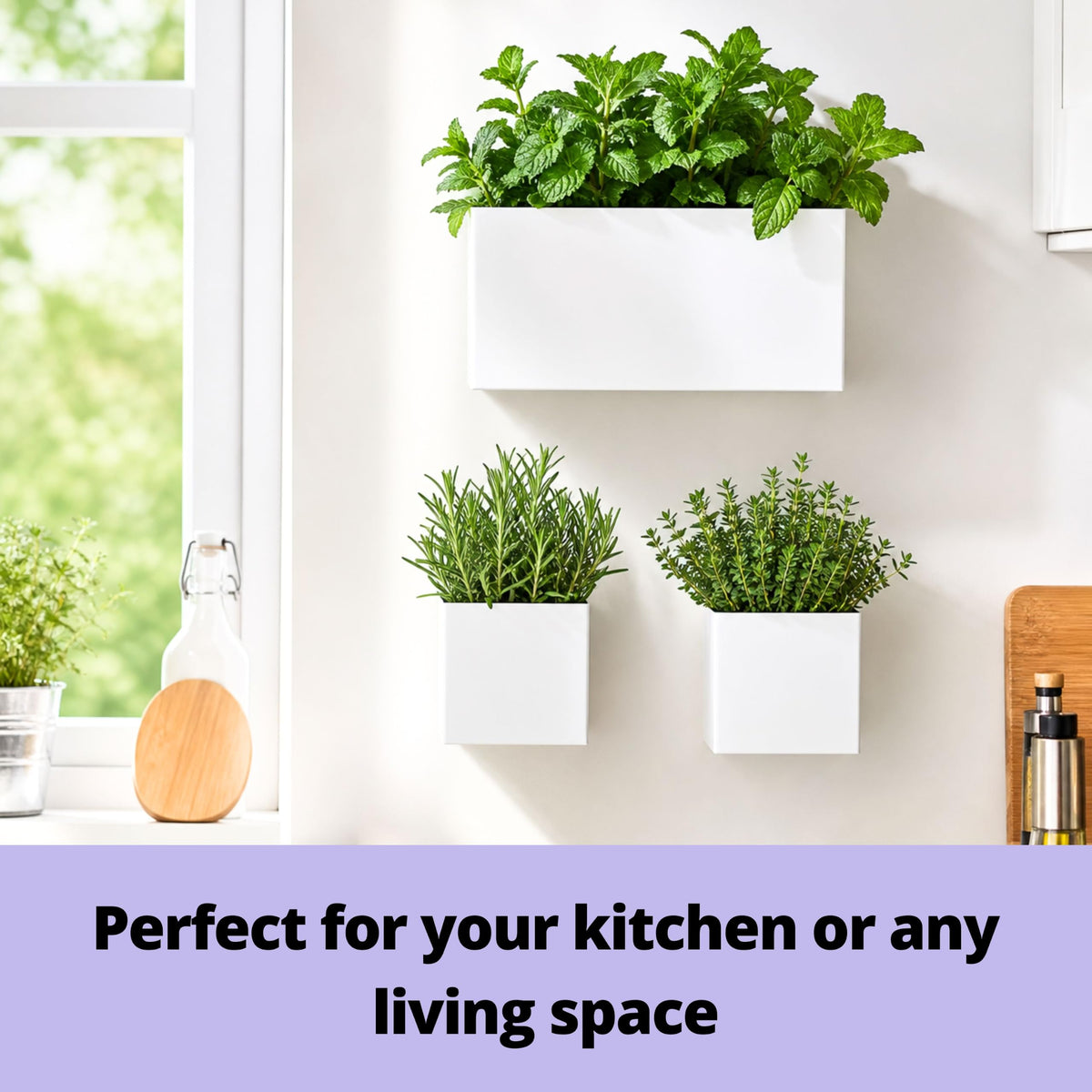 LaLaGreen Rectangular Carbon-Steel Wall Planter Set