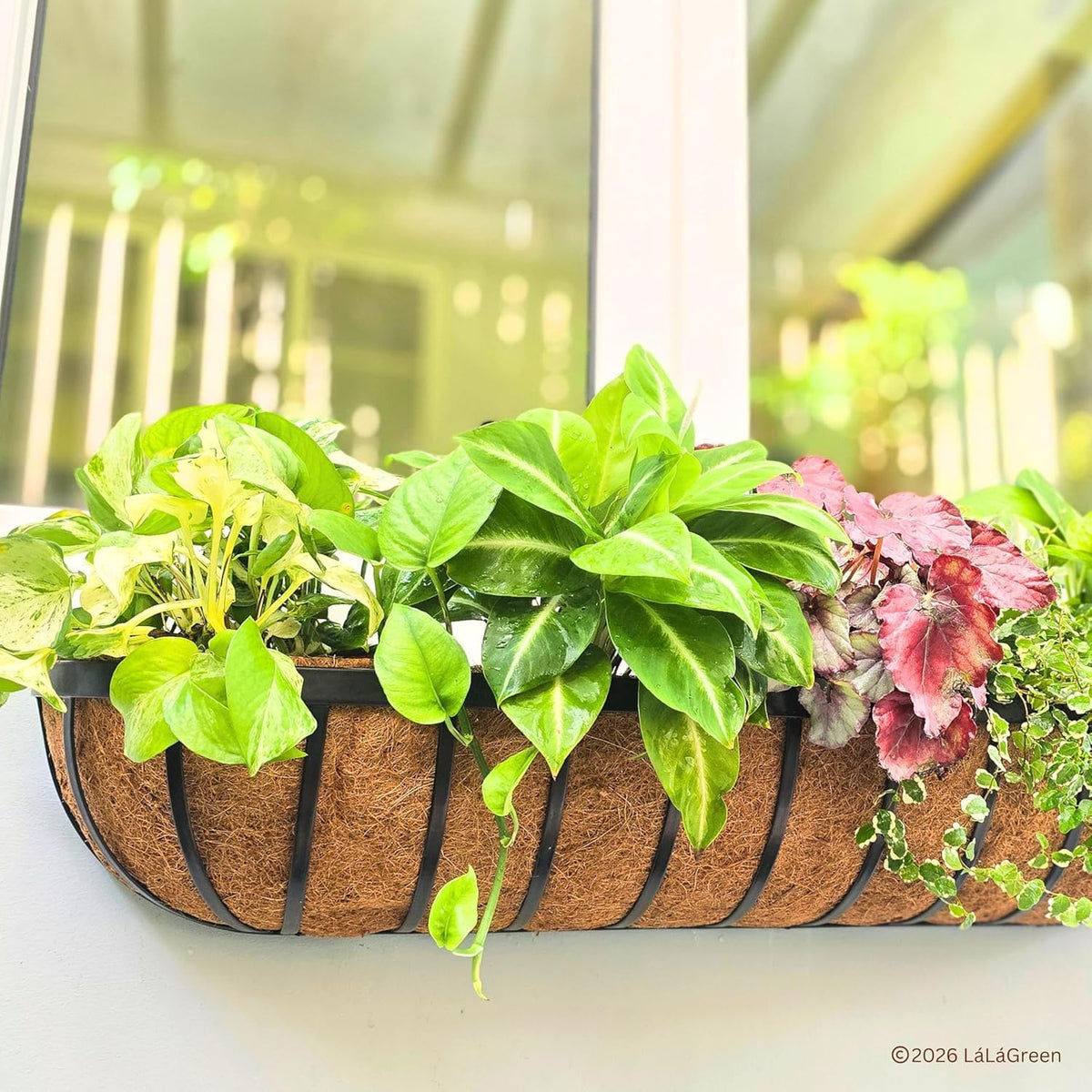 LaLaGreen Half-Round Rectangular Coconut Coir Replacement Liners