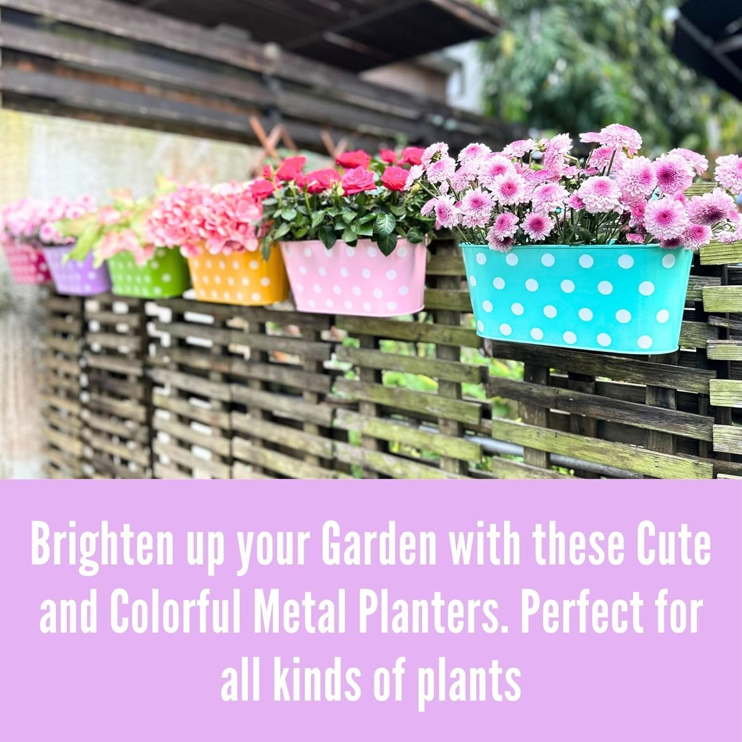 LaLaGreen Rail Planter for Deck Railing (11.2 Inch, 6 Pack) Colorful Metal Iron Hanging Flower Pots, Polka Dot and Strawberry Fence Garden Cute Balcony Box Plant Holder with Hooks Bucket Hang Porch