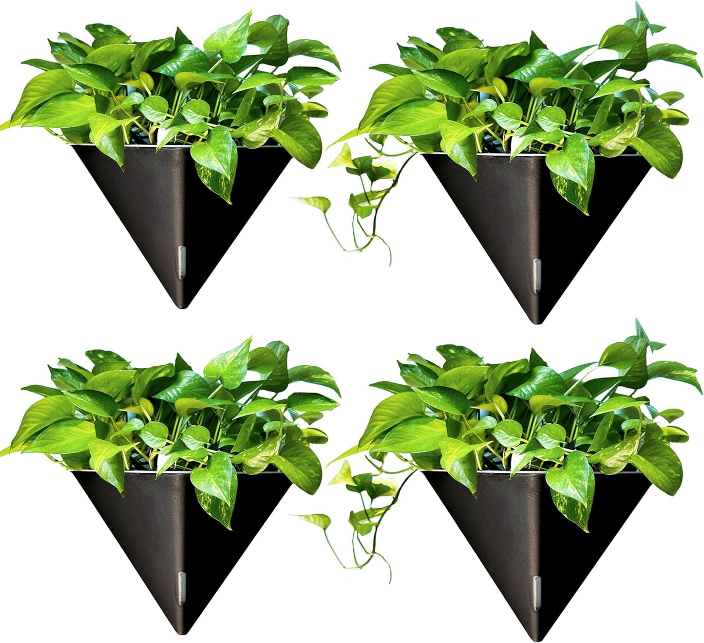 LaLaGreen Wall Planters for Indoor Plants - 2 Pack, 12 Inch Large Self Watering White Geometric Hanging Flower Vase Vessel with Metal Hanger, Modern Stylish Wall Mounted Succulent Pot Holder Decor