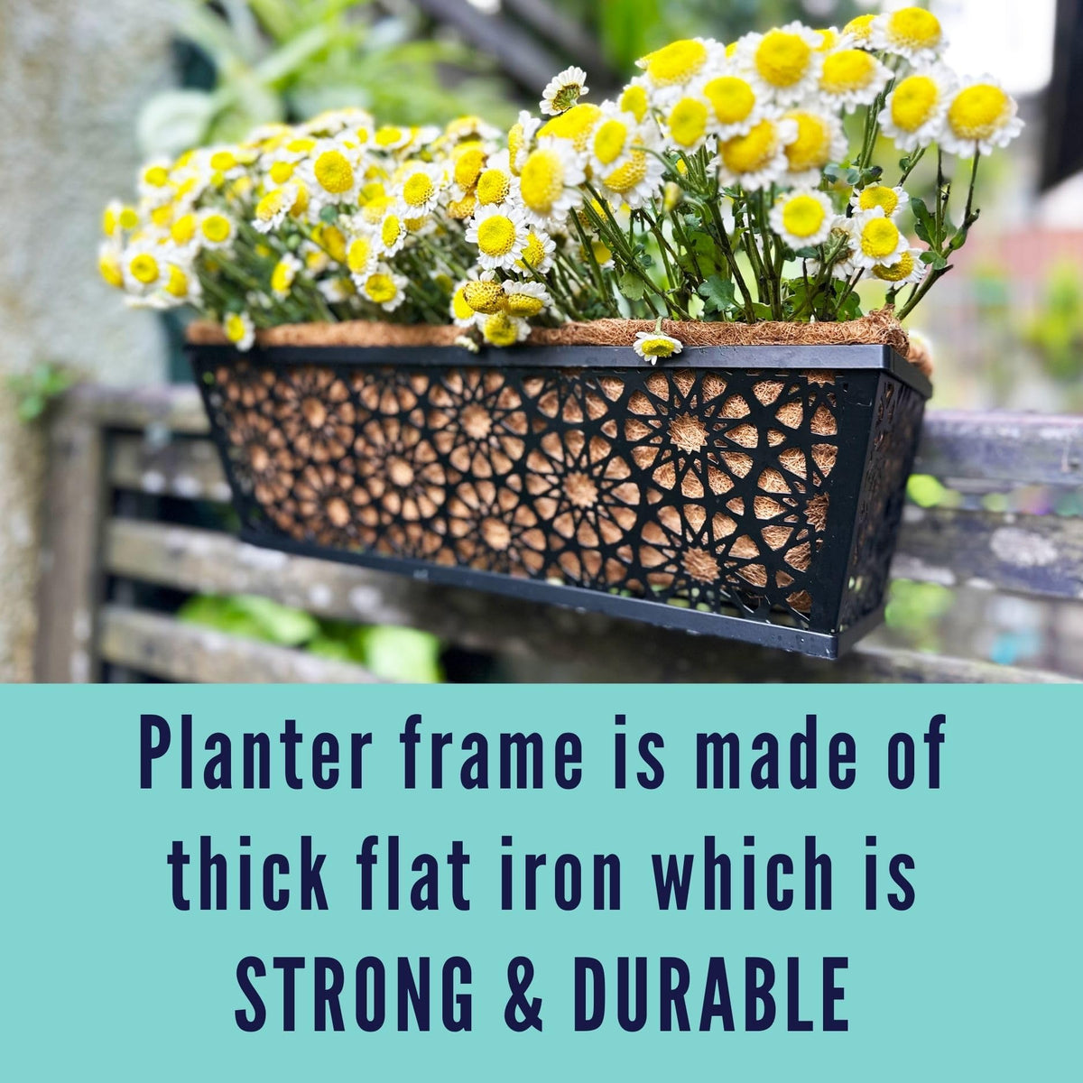 LaLaGreen Black Wall Planter (12 in, 2 Pack) Long Metal Window Flower Box