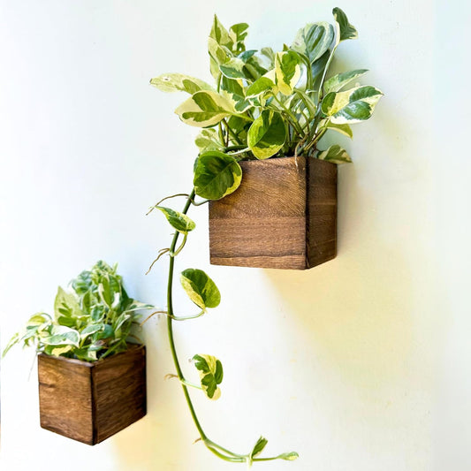LaLaGreen Wood Planter Box for Plants (4x4 Inch, 2 Pack) Small Square Wall Planters for Indoor Plant, Window Hanging Flower Pot Wooden Boxes for Table Centerpiece Herb Balcony Home Garden Office Decor