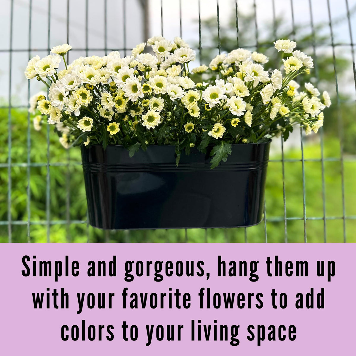 LaLaGreen Oval and Round Metal Railing Planter Combo