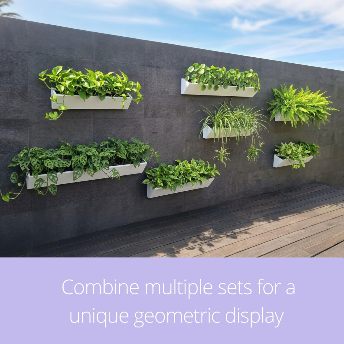 LaLaGreen Triangular Carbon-Steel Wall Planters