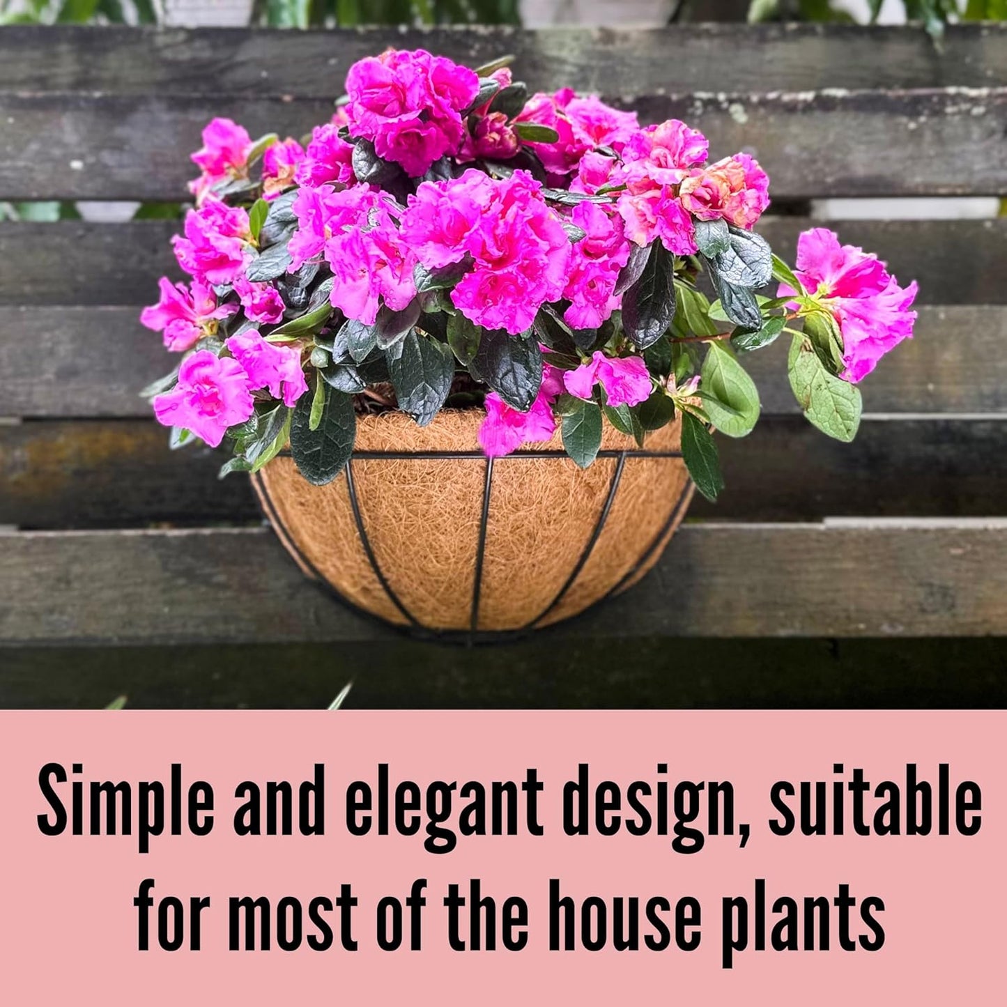 LaLaGreen Wall Hanging Planters, 2 Pack, 12 Inch Wall Mounted Flower Baskets with Coco Liner, Metal Iron Wire Plant Holder for Outdoor Window Box Herb Outside Fence Railing Deck Porch Balcony Garden