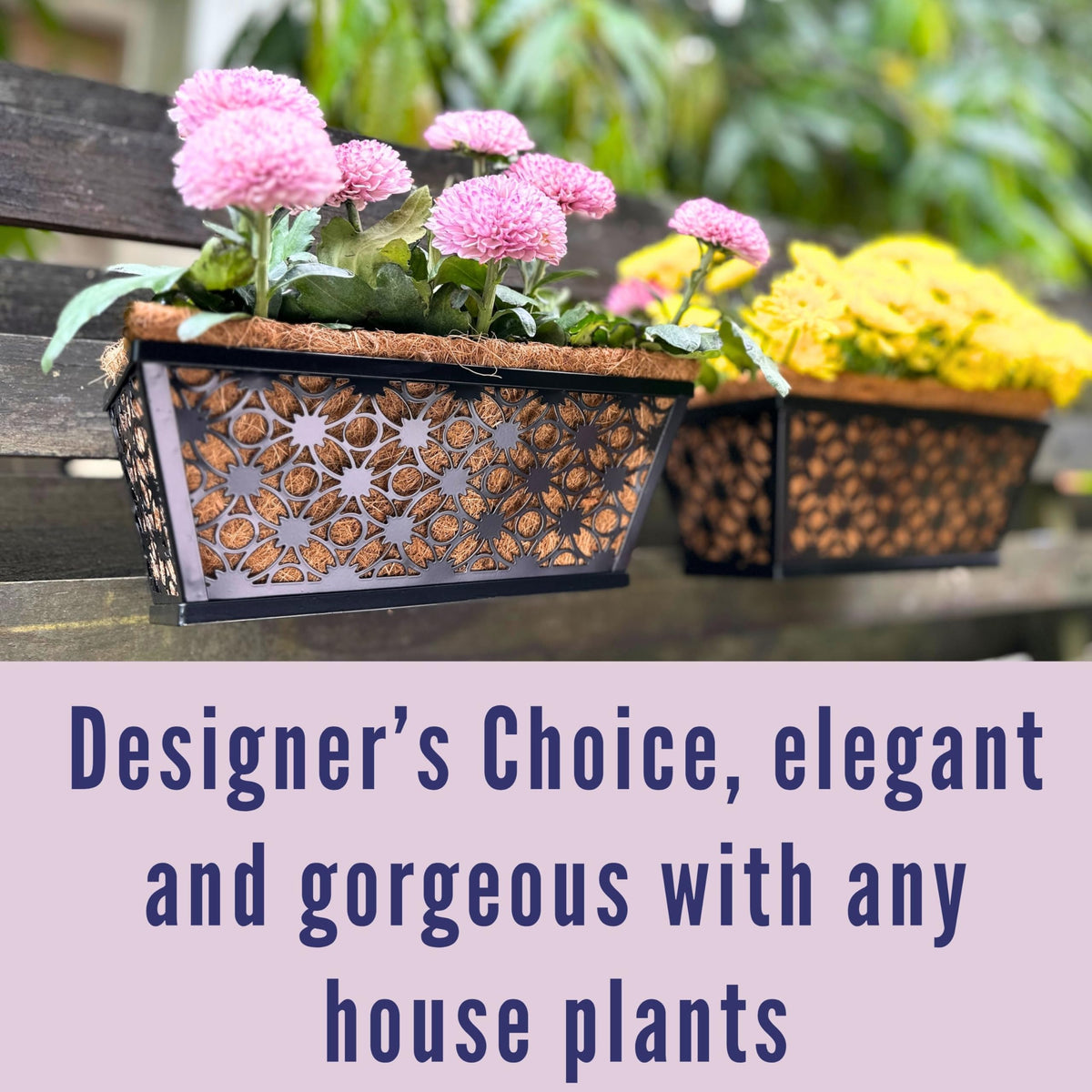 LaLaGreen Flower Wall Planter (12 in, 2 Pack) Black Metal Window Boxes