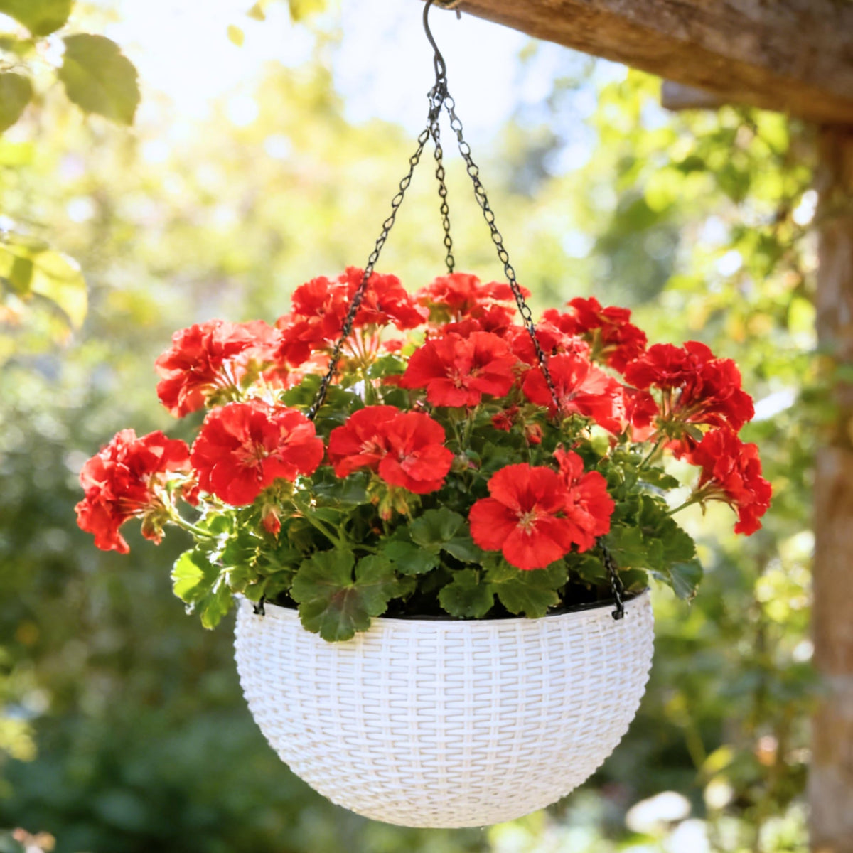 LaLaGreen Self-Watering Hanging Planters