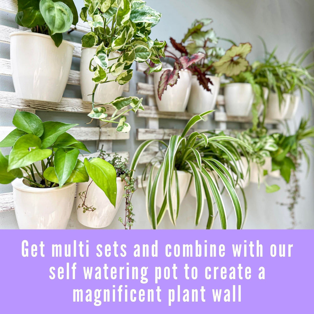 LaLaGreen White Wooden Ladder-Style Wall Plant Holders