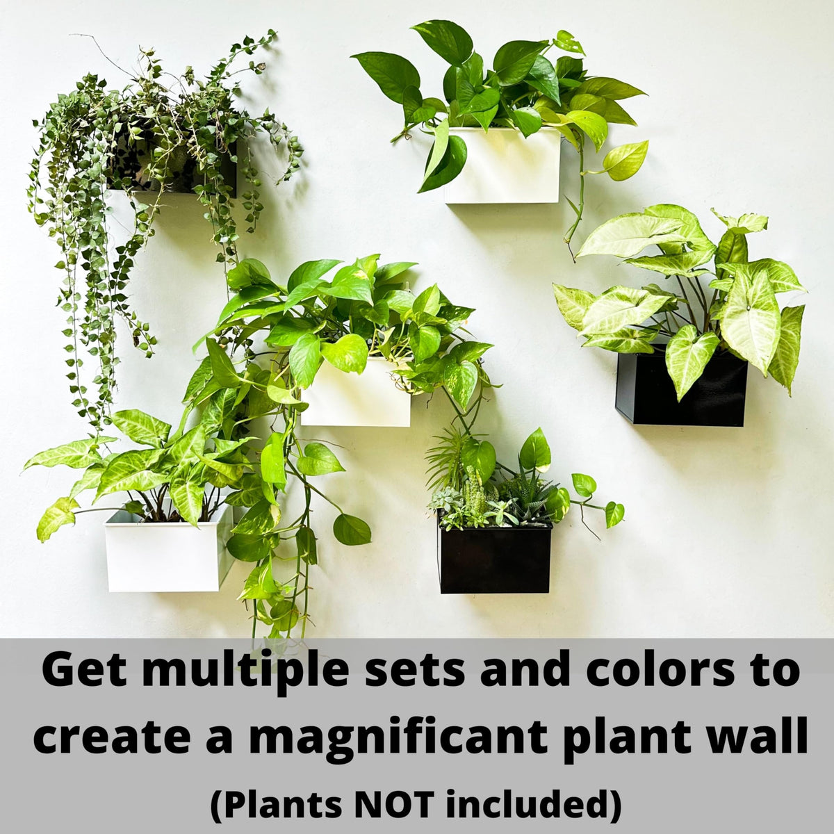 LaLaGreen Metal Wall-Mount Planter Pots