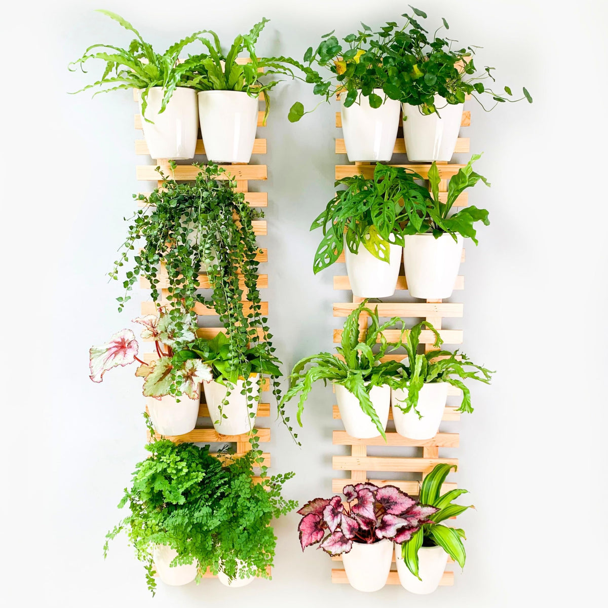 LaLaGreen Natural Wood Ladder-Style Wall Plant Holders