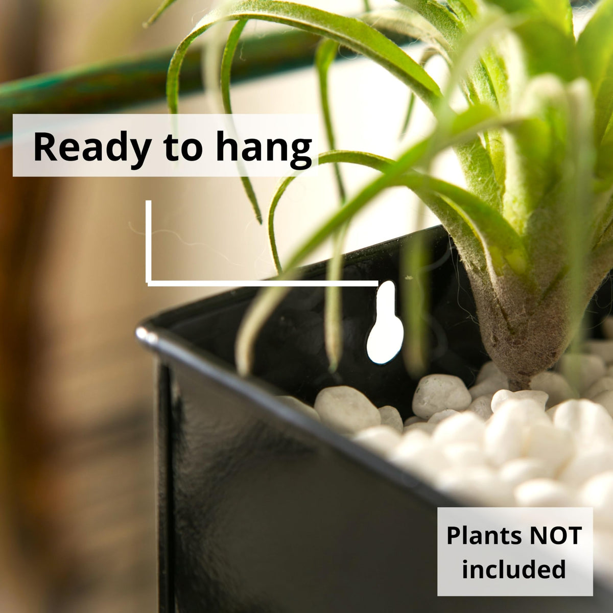 LaLaGreen Metal Wall-Mount Planter Pots