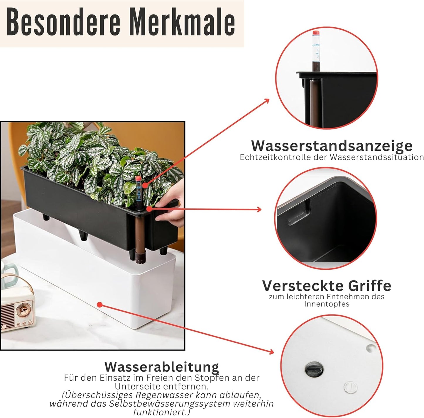 LaLaGreen Planter Box for Indoor Plants (2 Pack, 16 Inch) Black Rectangular Self Watering Flower Pot, Large Window Boxes Planters with Drainage Decorative Modern Balcony Windowsill Herbs Home Garden