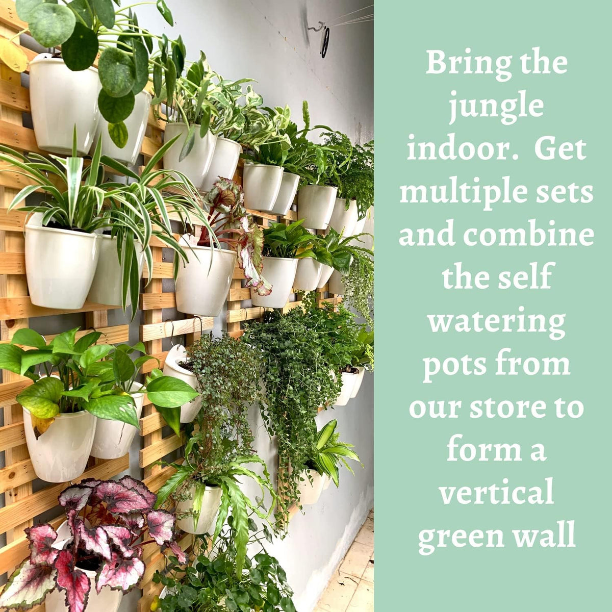 LaLaGreen Natural Wood Ladder-Style Wall Plant Holders