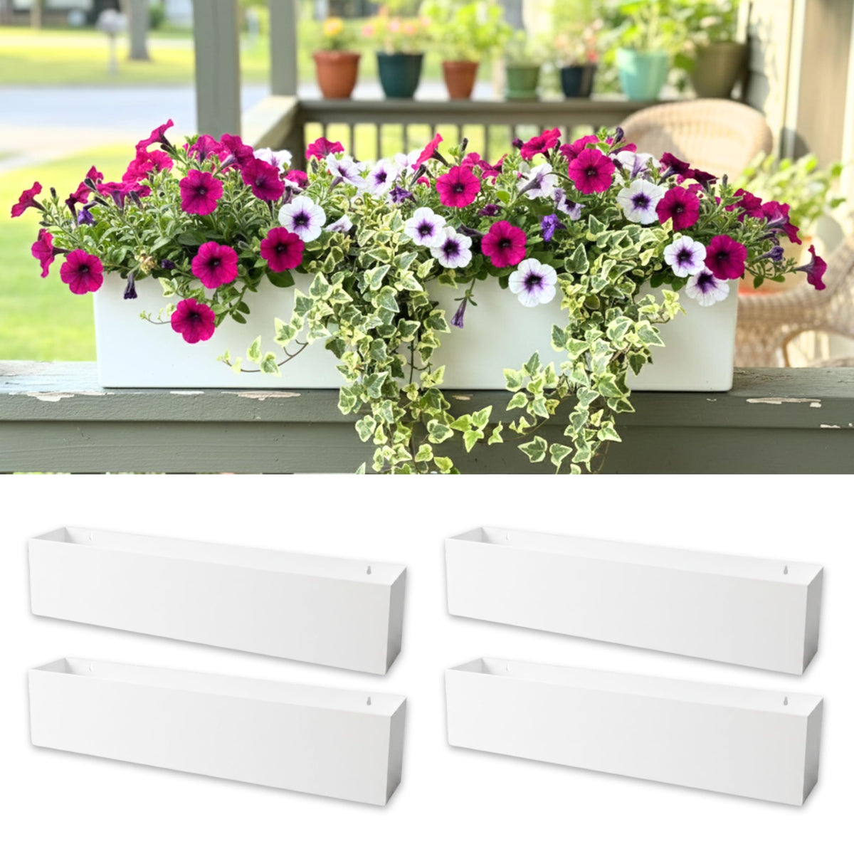 LaLaGreen Wall Planter (30in, 4 Pack) White Carbon Steel Hanging Flower Pot