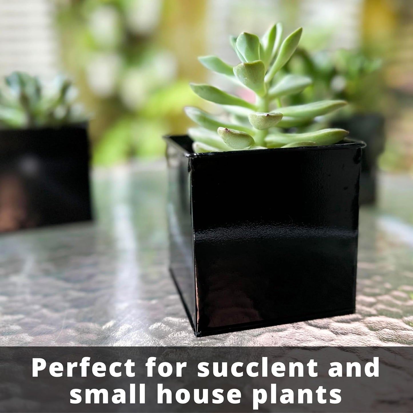 LaLaGreen Wall Planter - 6 Pack, 4 Inch Square Metal Wall Planter for Indoor Plants, Small Black Wall Mounted Flower Pots Outdoor Garden Decoration, Balcony Planters Railings Hanging Outdoor