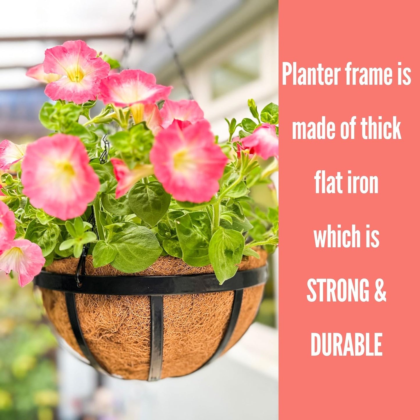 LaLaGreen Outdoor Hanging Baskets for Plants (2 Pack, 10 Inch) Small and Cute Hanging Planters with Coco Liner, Black Metal Flat Iron Flower Pots for Deck Patio Porch Garden Balcony Outside Decoration