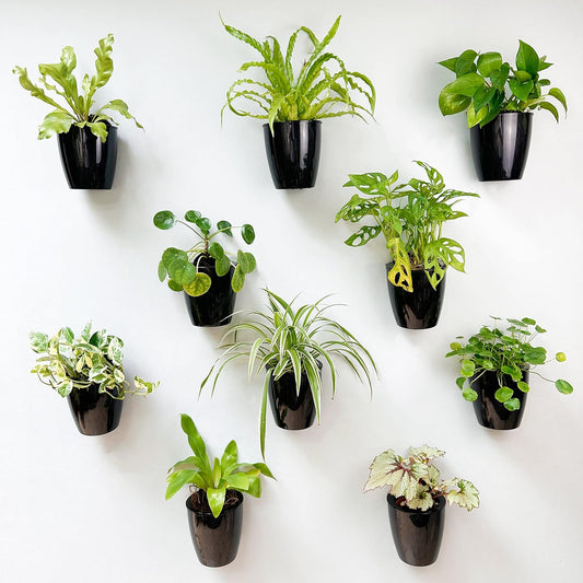 LaLaGreen Small Self-Watering Wall Planters