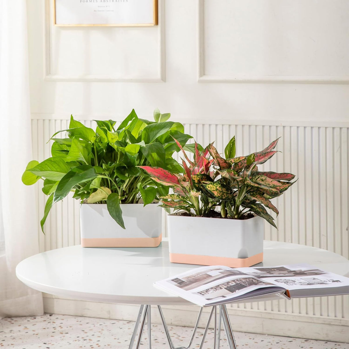 LaLaGreen Mixed-Size Self-Watering Planter Box Set