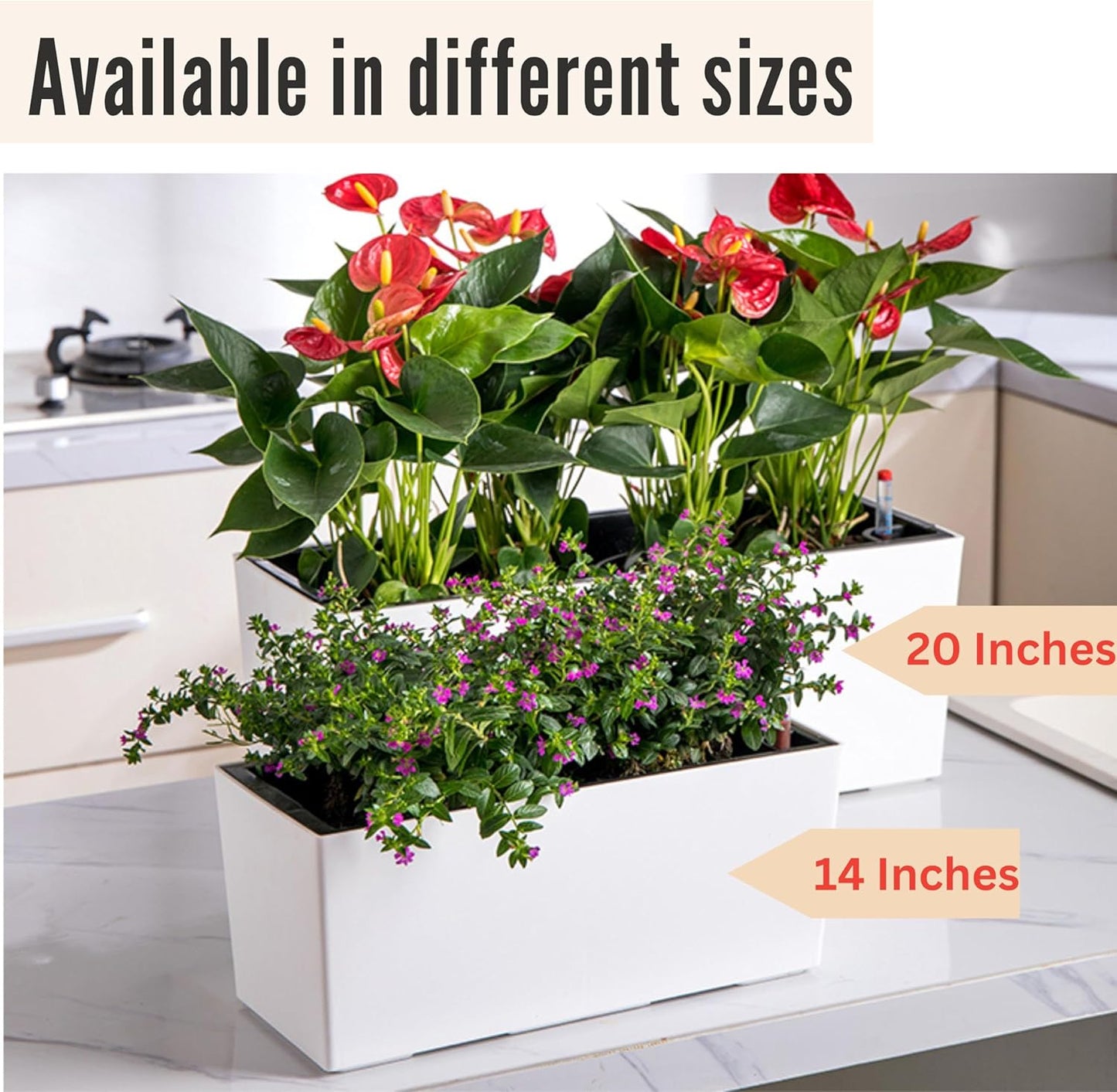 LaLaGreen Wall Planter for Outdoor (2 Pack, 20 Inch) White Self Watering Rectangular Window Boxes Planters to Attach to House with Bracket, Country Vertical Plant Wall Holder Indoor Garden Minimalist