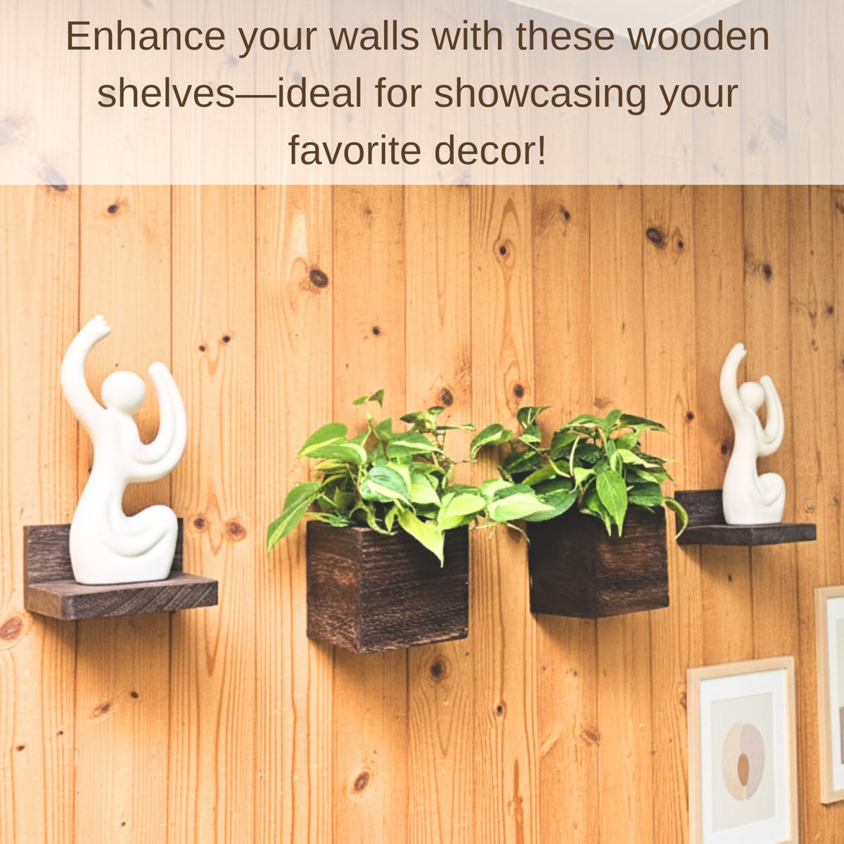 LaLaGreen Wooden Wall Planter Boxes and Floating Shelves Set
