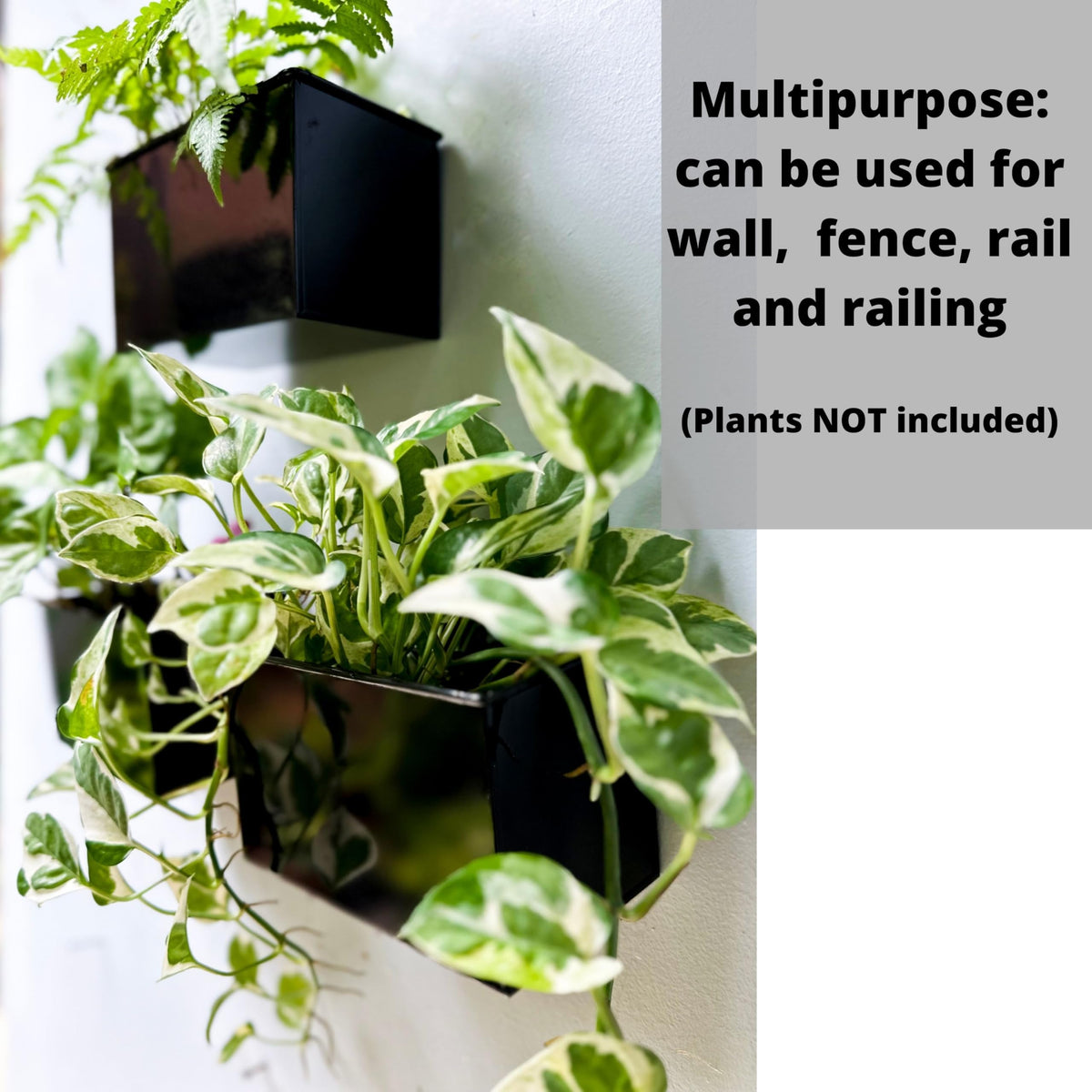 LaLaGreen Metal Wall-Mount Planter Pots