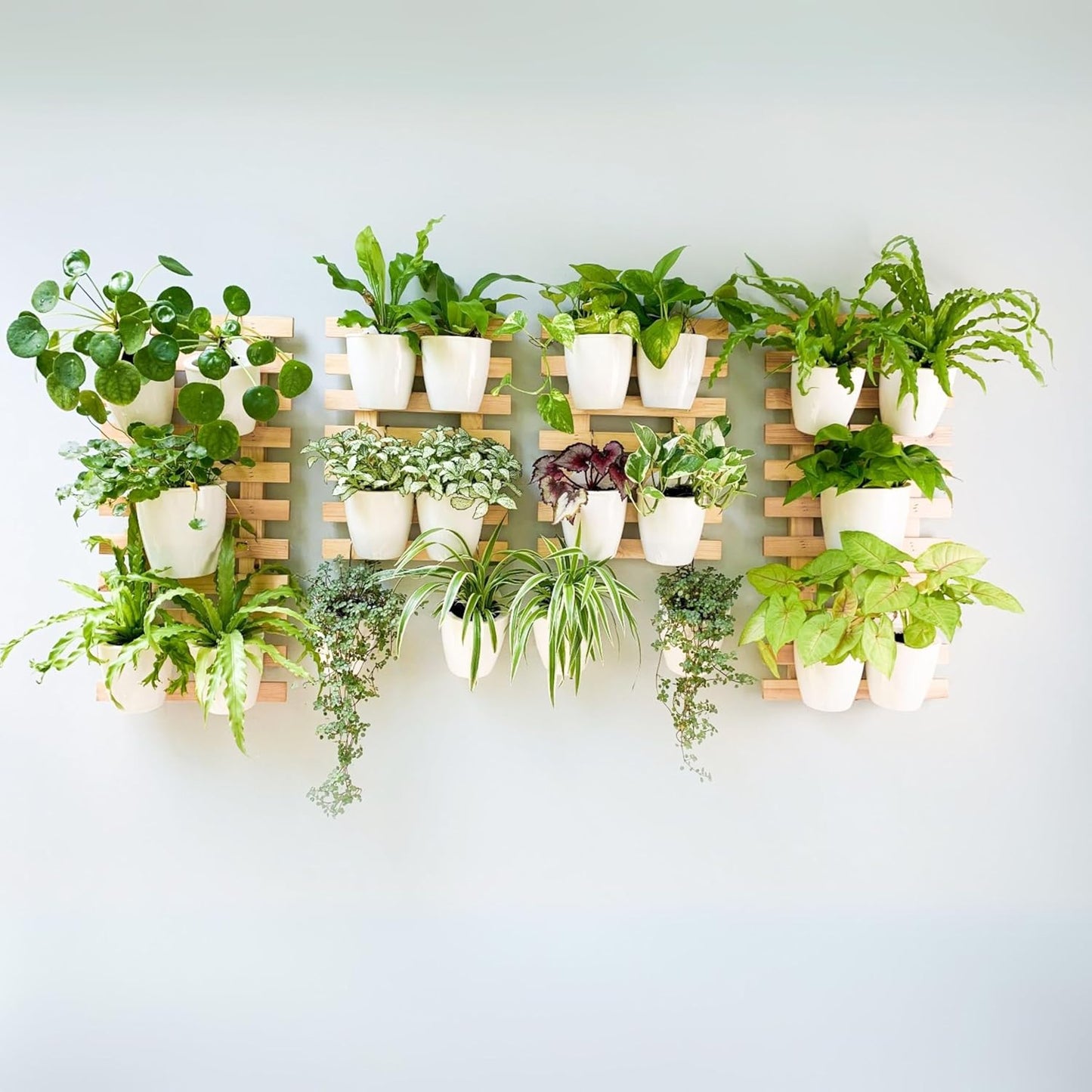 ShopLaLa Wooden Wall Planter - 2 Pack Wall Hanging Planters for Indoor Plants Ladder Wall Mount Natural Wood Holder Flower Pots Vertical Living Balcony Unique Large Green Plant Decor 23.6" (60cm)