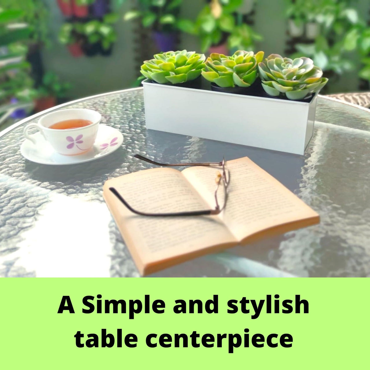 LaLaGreen Metal Wall-Mount Planter Pots