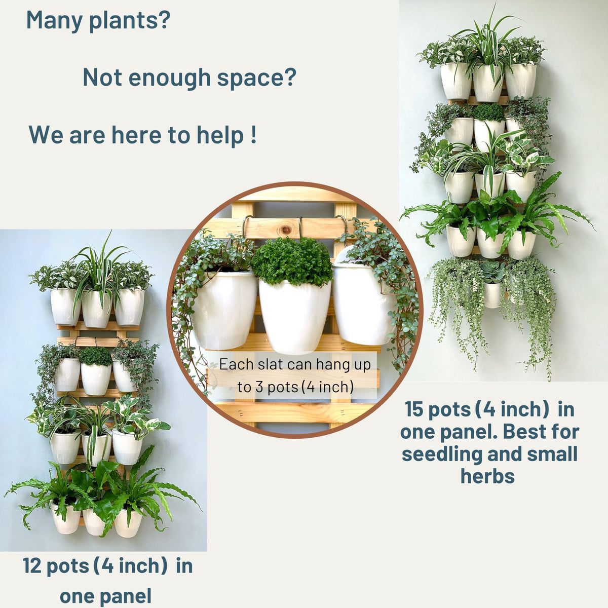 LaLaGreen Natural Wood Ladder-Style Wall Plant Holders