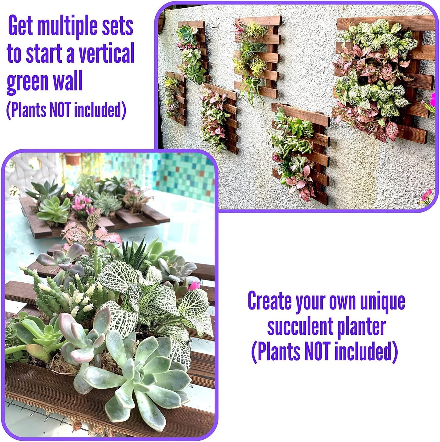 ShopLaLa Wall Planter - 2 Pack Wooden Orchid Planter Frame Display Outdoor Plants, Wall Mount Air Plants Succulent Holder Hanger, Vertical Garden Plant Wall Decor Macetas para Orquideas 15.7" (40cm)