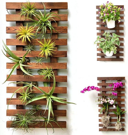 ShopLaLa Wall Planter - Wooden Hanging Planter for Indoor Plants, Plant Stand, Air Plant Succulent Holder, Vertical Garden. Large Wall Decor for Living Room, Room Decor for Teens, 60cm (23.6")