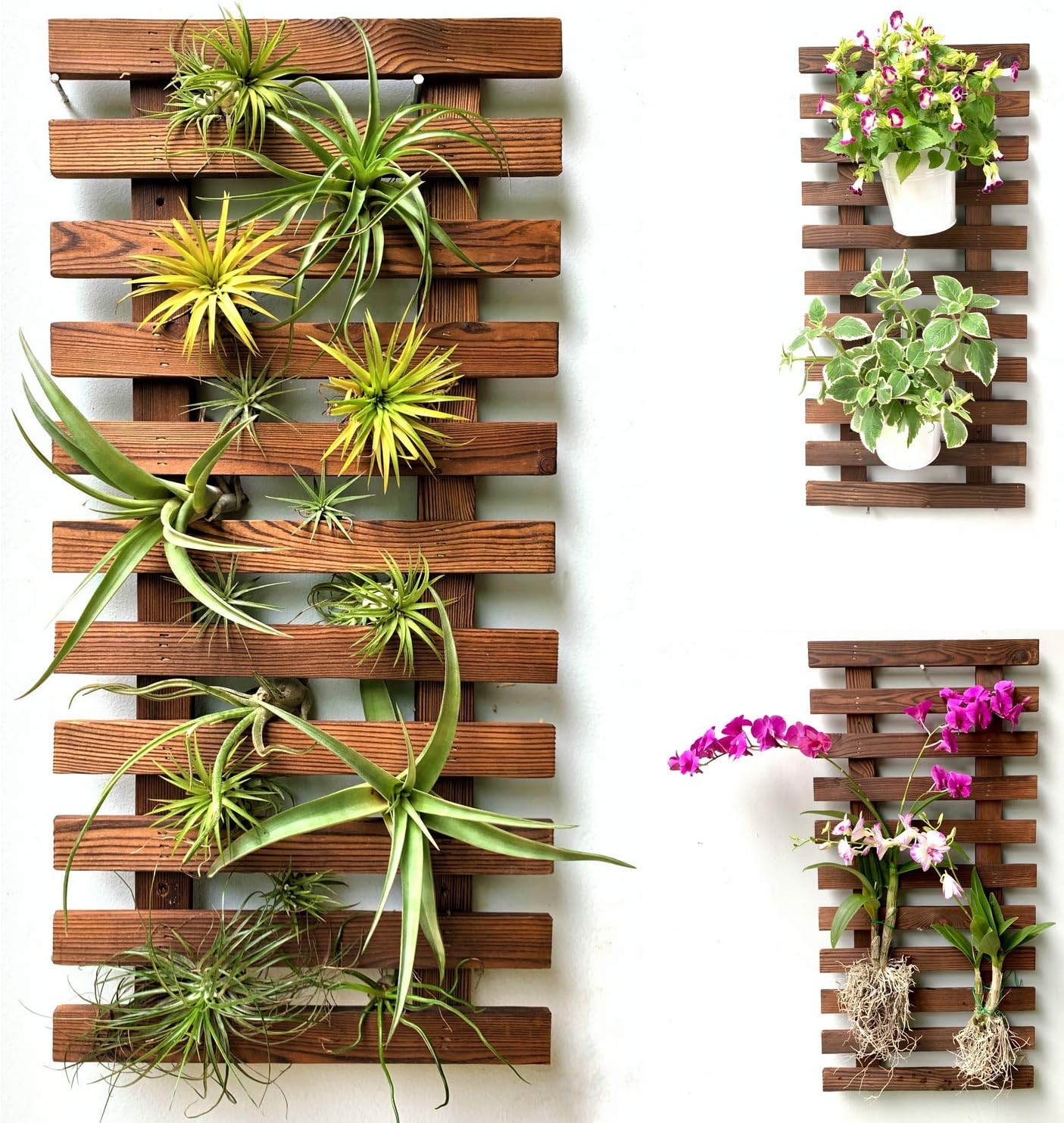 ShopLaLa Wall Planter - 2 Pack Wooden Orchid Planter Frame Display Outdoor Plants, Wall Mount Air Plants Succulent Holder Hanger, Vertical Garden Plant Wall Decor Macetas para Orquideas 15.7" (40cm)
