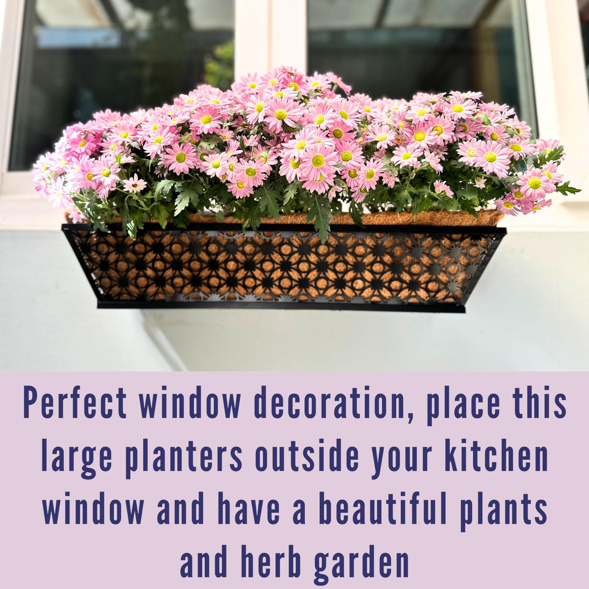LaLaGreen Flower Wall Planter (12 in, 2 Pack) Black Metal Window Boxes