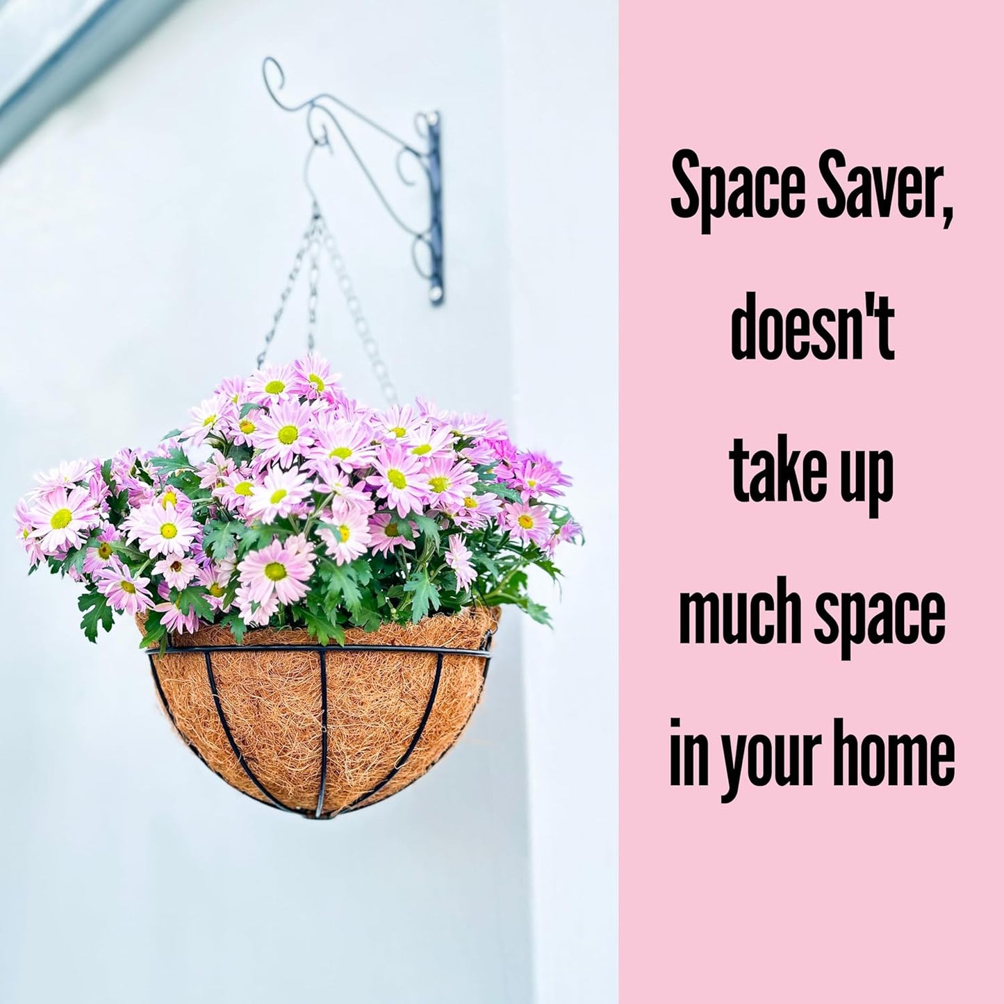 LaLaGreen Hanging Baskets for Plants (3 Pack, 10 Inch) Hanging Planter Outdoor with Coco Liner, Metal Wire Flower Basket Pots Holder Hanger Hook Deck Patio Porch Garden Balcony Outside Decoration