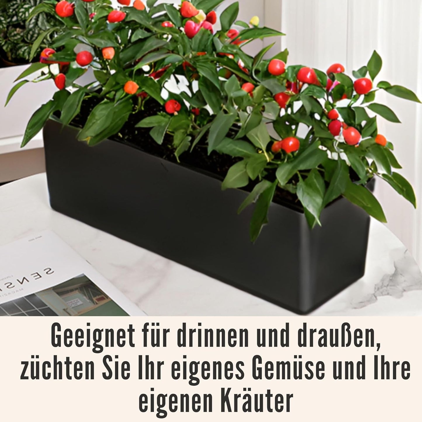 LaLaGreen Planter Box for Indoor Plants (2 Pack, 16 Inch) Black Rectangular Self Watering Flower Pot, Large Window Boxes Planters with Drainage Decorative Modern Balcony Windowsill Herbs Home Garden