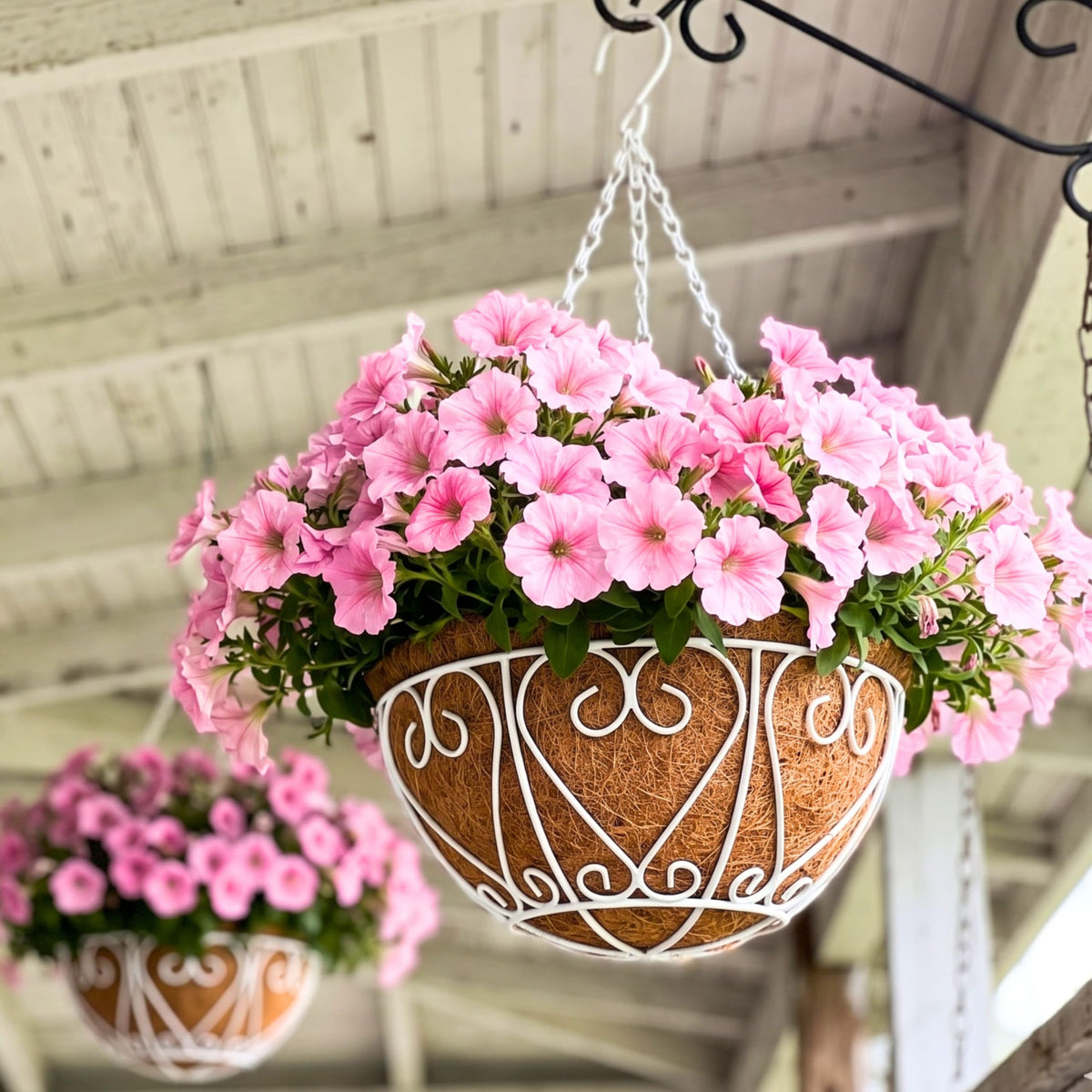 LaLaGreen Metal Hanging Baskets (10 in, 2 Pack) White Coco Liner Plant Pots