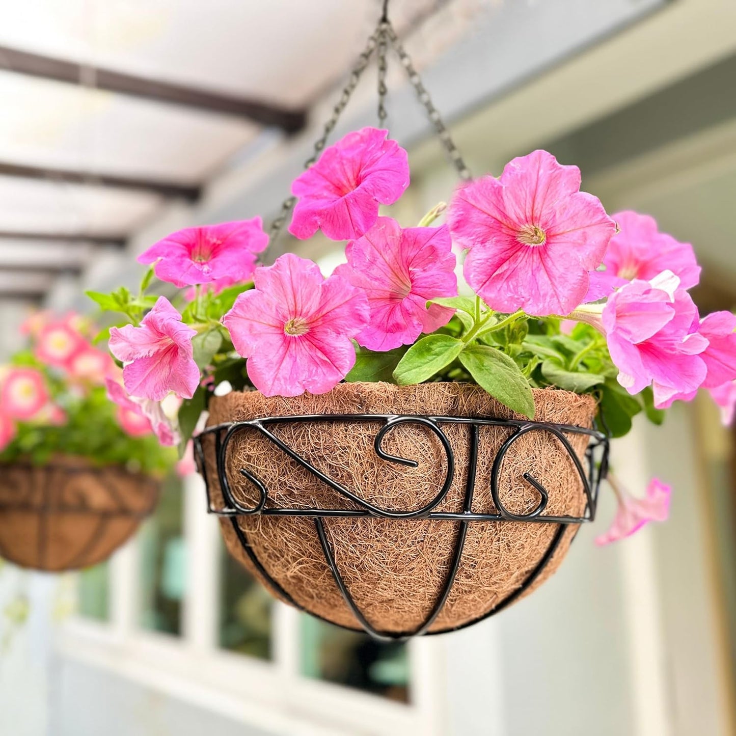 LaLaGreen Hanging Planter for Outdoor Plants (14 Inch, 4 Pack) Hanging Baskets with Coco Liner, Black Metal Wire Flower Basket Pots with Hook Hanger Balcony Porch Farmhouse Country Style Garden Decor