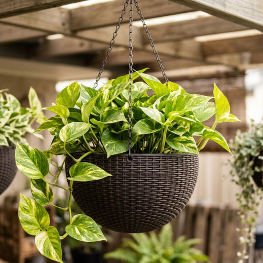 LaLaGreen Self-Watering Hanging Planters