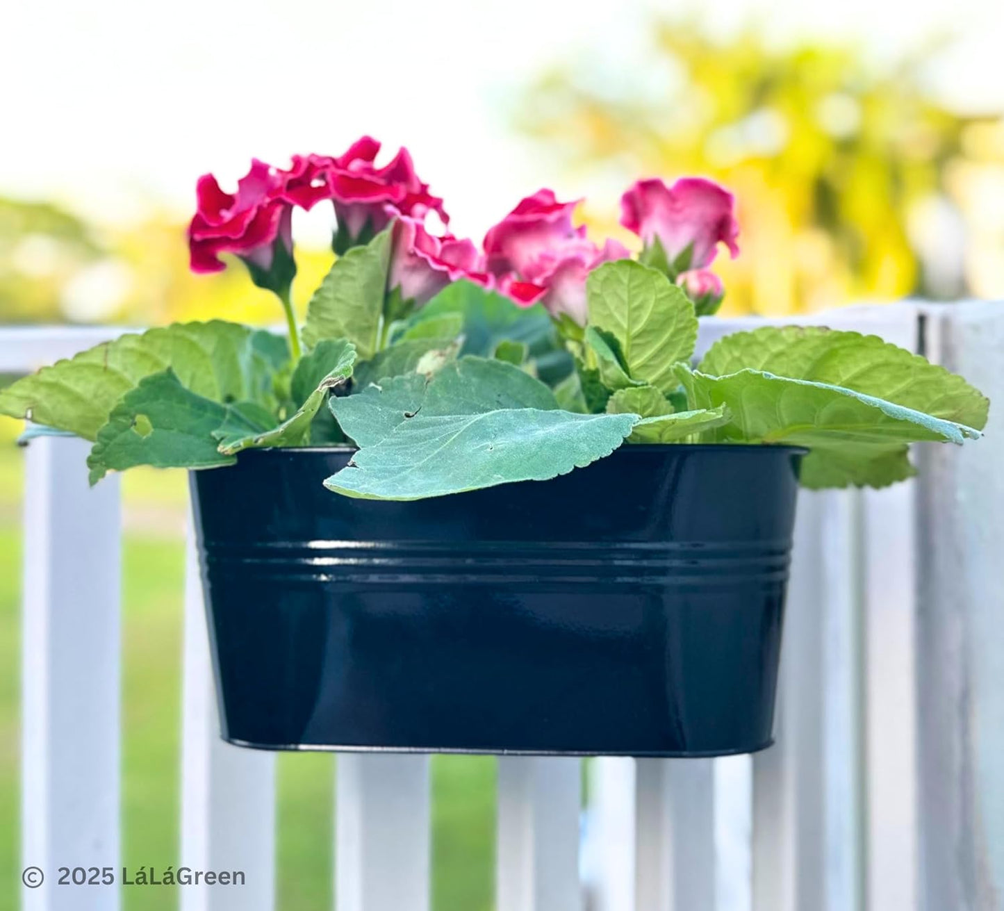 LaLaGreen Rail Planter Outdoor Plants(5 Pack, 11.8 Inch) Black Metal Iron Hanging Flower Pots Deck Railings Fence Buckets Modern Countryside Boho Style Wall Mount Window Box Plant Holder Porch Decor