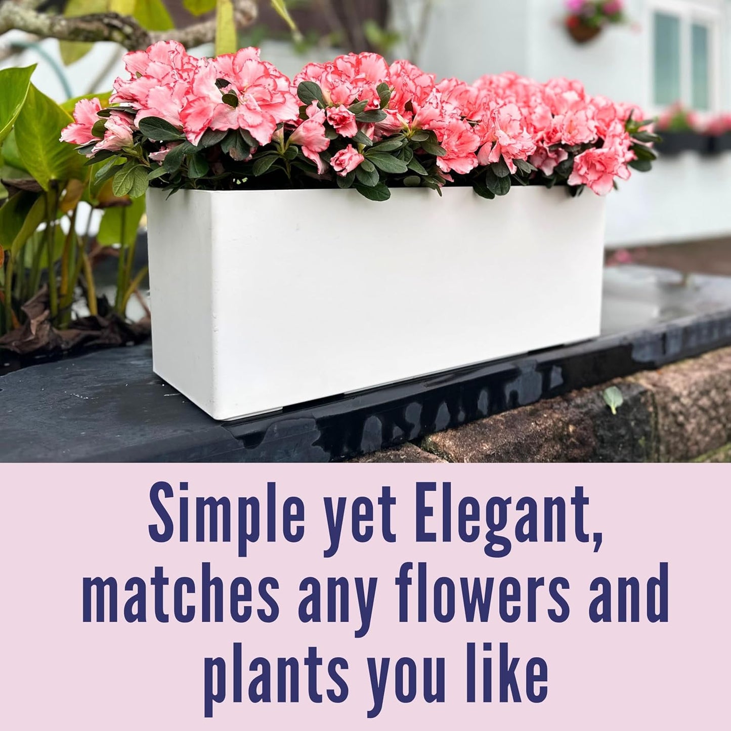 LaLaGreen Planter Box for Indoor Plants (3 Pack, 14 Inch) White Rectangular Self Watering Flower Pot, Large Window Boxes Planters with Drainage Decorative Modern Balcony Windowsill Herbs Home Garden