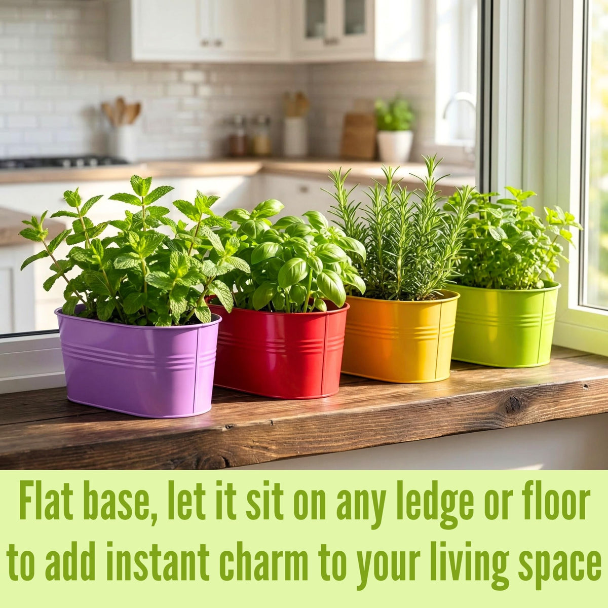 LaLaGreen Colorful Oval Metal Railing Planter Boxes