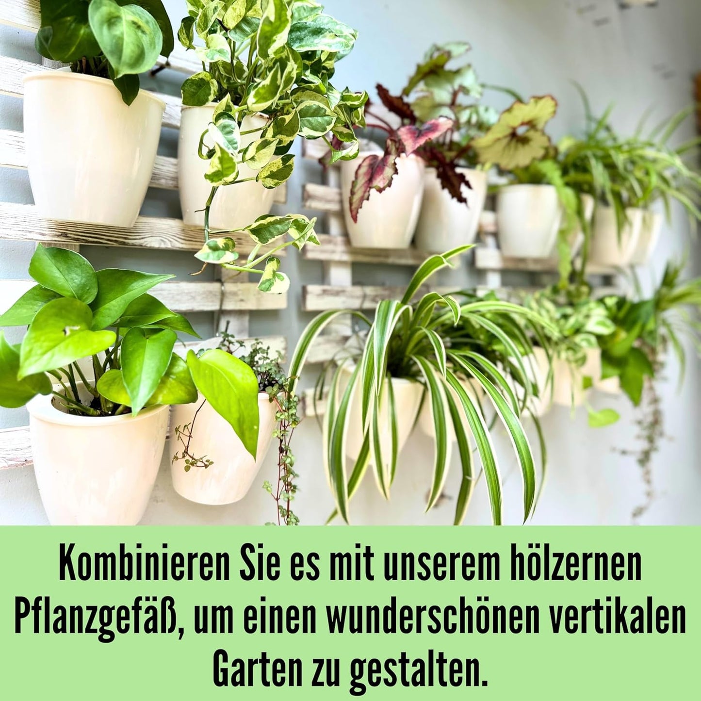 LaLaGreen Wall Planters for Indoor Plants - 10 Pack, 4 Inch Self Watering Plastic Planters and Pots, White Plant Holder, Modern Hydroponic Wall Pot Vertical System for Living Plant, Garden