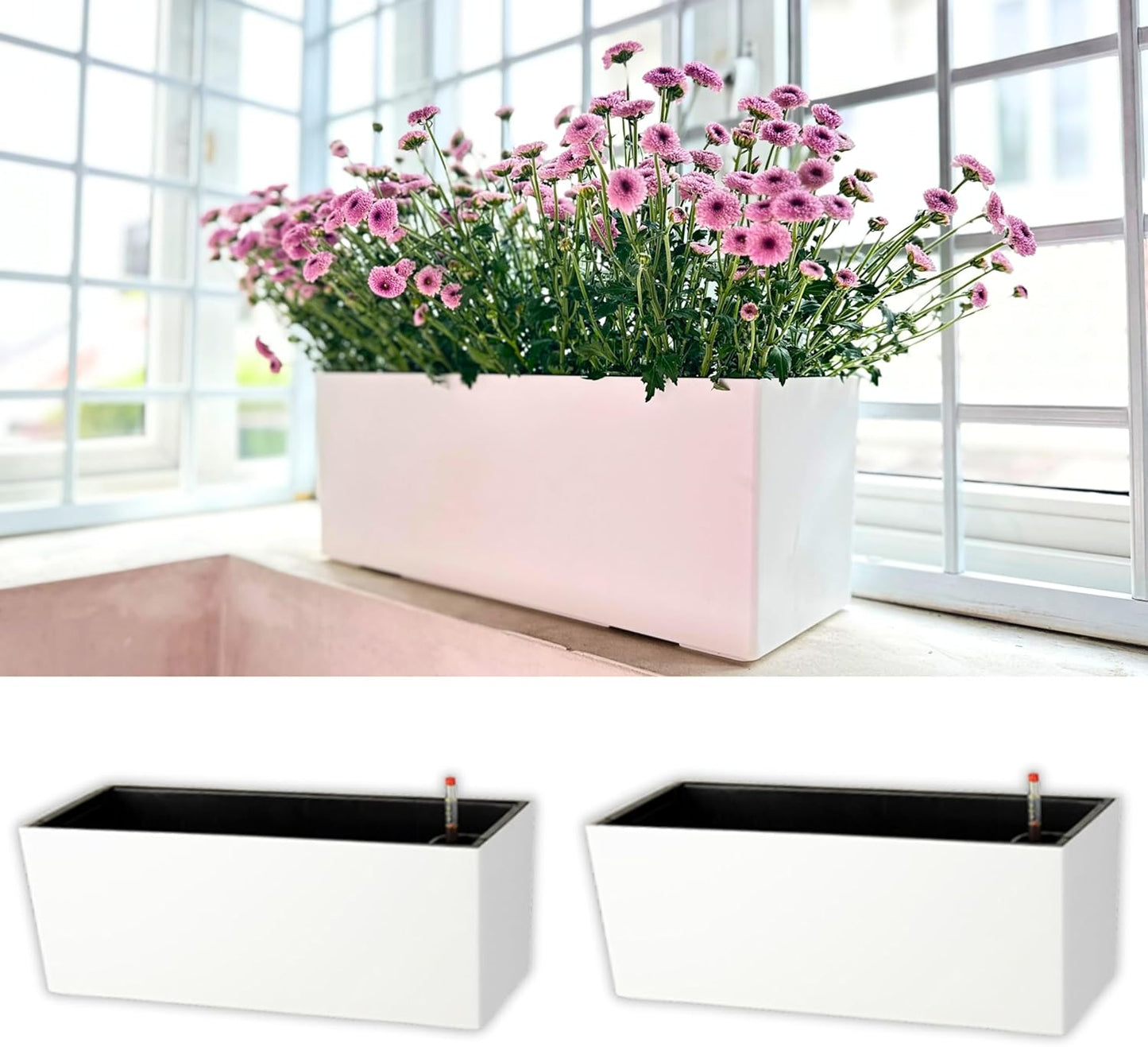 LaLaGreen Planter Box for Indoor Plants (3 Pack, 14 Inch) White Rectangular Self Watering Flower Pot, Large Window Boxes Planters with Drainage Decorative Modern Balcony Windowsill Herbs Home Garden