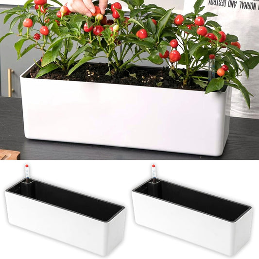 LaLaGreen Self-Watering Tabletop and Windowsill Planter Boxes