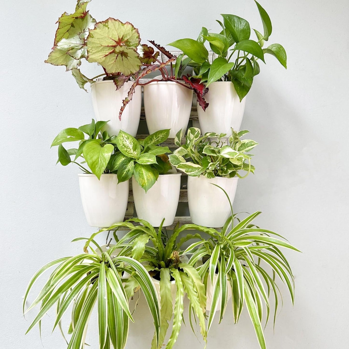 LaLaGreen Wall Planters for Indoor Plants - 10 Pack, 4 Inch Self Watering Plastic Planters and Pots, White Plant Holder, Modern Hydroponic Wall Pot Vertical System for Living Plant, Garden