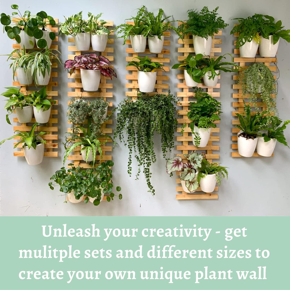 LaLaGreen Natural Wood Ladder-Style Wall Plant Holders