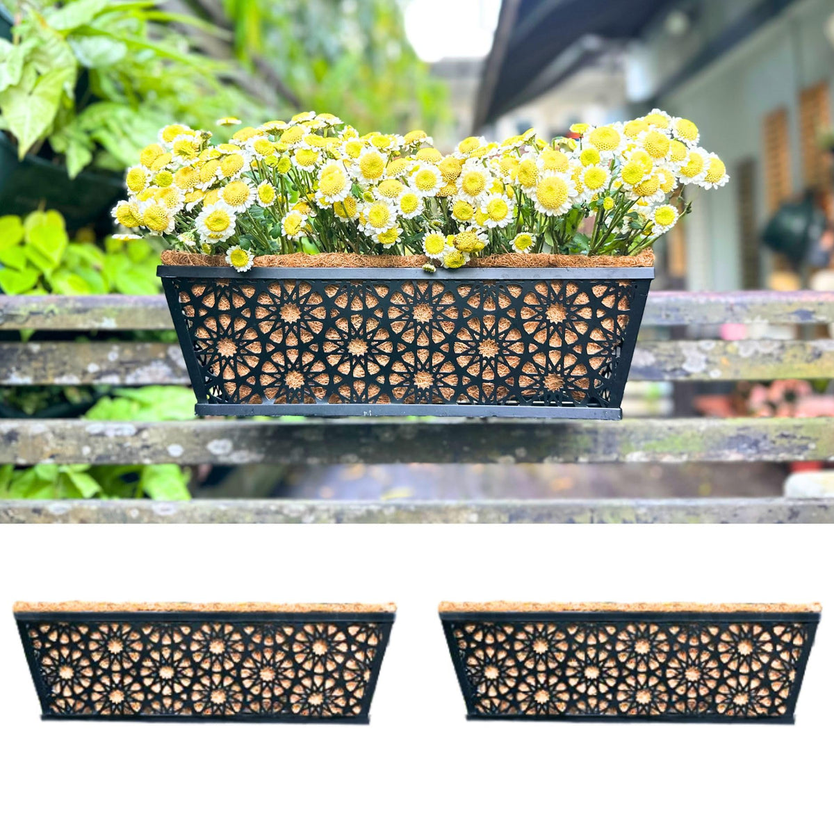 LaLaGreen Black Wall Planter (12 in, 2 Pack) Long Metal Window Flower Box